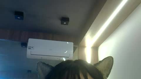 skinnykittencam online show from 06.23.26