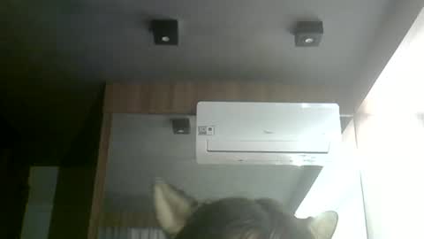 skinnykittencam online show from 06.24.26