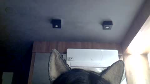 skinnykittencam online show from 07.12.26