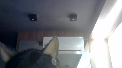 skinnykittencam online show from 07.27.26