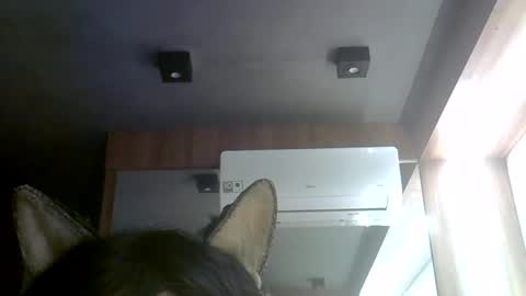 skinnykittencam online show from 07.30.26