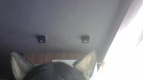 skinnykittencam online show from 07.31.26