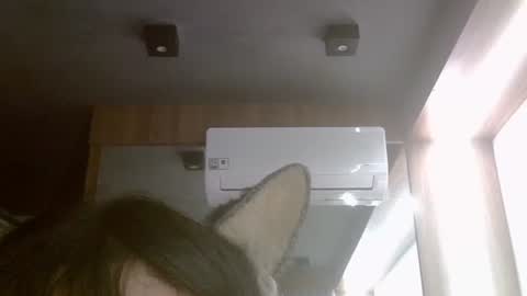 skinnykittencam online show from 07.31.26