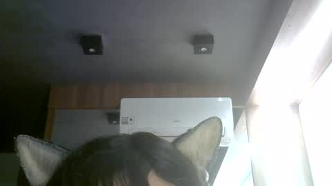 skinnykittencam online show from 08.02.26