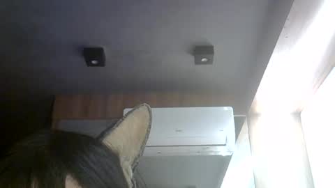 skinnykittencam online show from 08.02.26