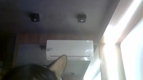 skinnykittencam online show from 08.03.26