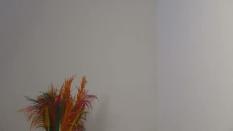 Bella online show from 02.03.25