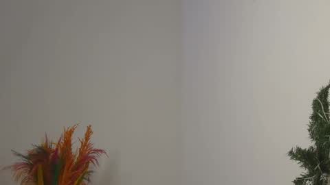 Bella online show from 02.04.25