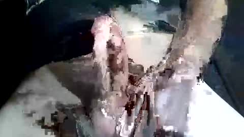 Snapshot of slash1710 chatting on 11.02.25 Z online show from 11.02.25