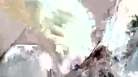 Z online show from 11.12.25