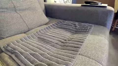 slaterboyyy online show from 11.06.25