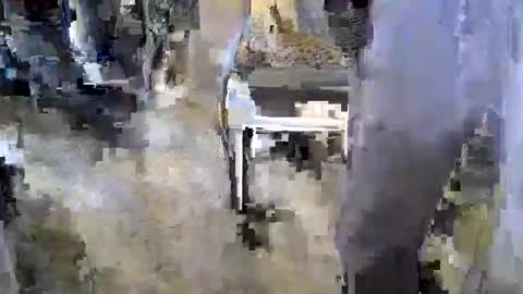 sledge2021 online show from 11.17.25