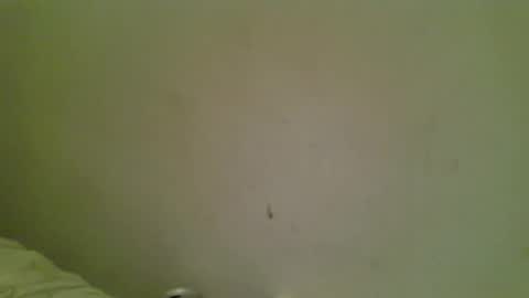 Snapshot of sleepyg1981 chatting on 10.18.25 Bottmboitwink online show from 10.18.25