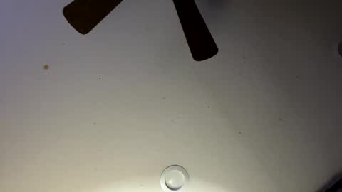 Snapshot of slickdog1969 chatting on 01.30.25 Slickdog online show from 01.30.25