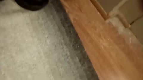 Snapshot of slickdog58 chatting on 09.19.25 slickdog58 online show from 09.19.25