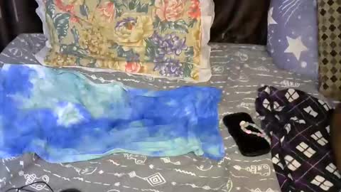 slim_me online show from 05.07.26