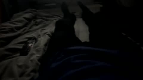 Snapshot of slimboy6900 chatting on 02.23.26 slimboy6900 online show from 02.23.26