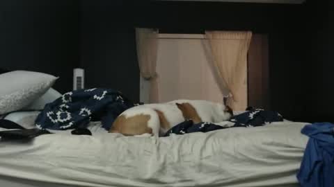 slimjp online show from 02.07.26