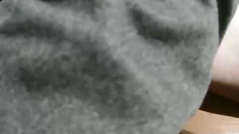 slimsunny online show from 12.04.24