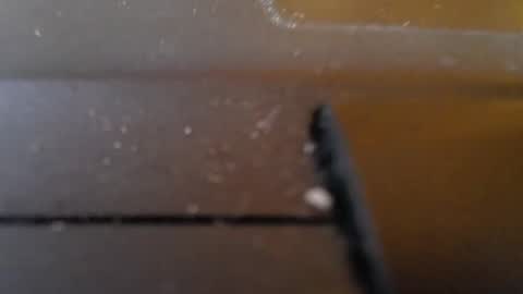 Jemila online show from 01.29.25