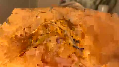 Snapshot of slipmytip chatting on 12.05.25 slipmytip online show from 12.05.25