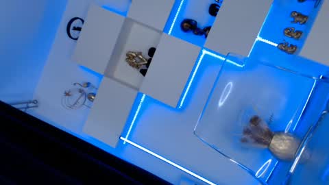 Ariana online show from 01.10.25