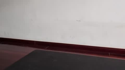 Snapshot of slutfactor chatting on 03.31.26 slutfactor online show from 03.31.26