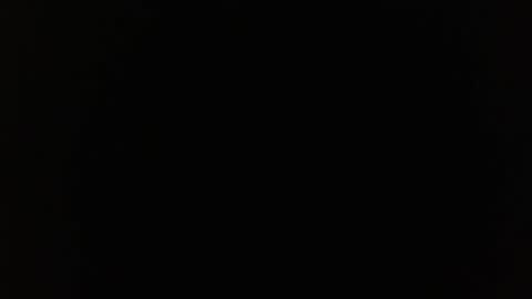 Bree online show from 10.01.25