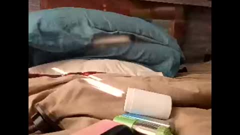 Nastyguurl online show from 03.30.26