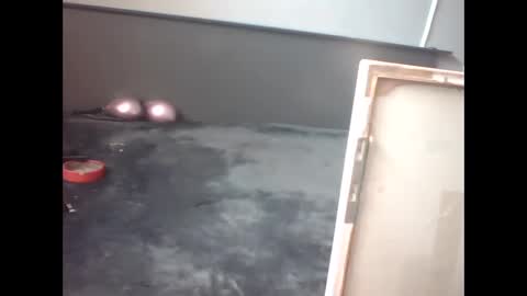 Snapshot of slutviki chatting on 02.15.26 slutviki online show from 02.15.26