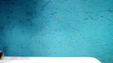 jess online show from 01.05.25