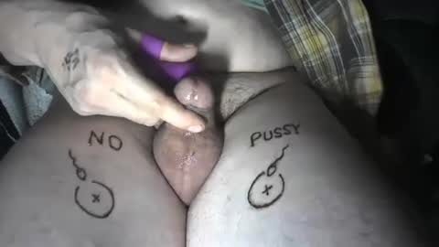 pussyfree4eva online show from 12.08.24