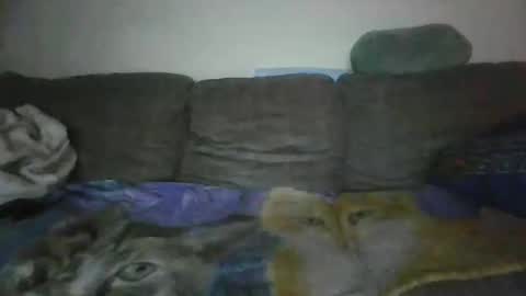 Snapshot of smaug6606 chatting on 11.24.25 smaug6606 online show from 11.24.25