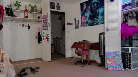 Snapshot of smokihippi chatting on 11.11.25 Big Dawg online show from 11.11.25