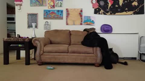 Snapshot of smokihippi chatting on 07.26.26 Big Dawg online show from 07.26.26