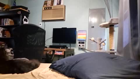 Snackyyyy online show from 03.17.26