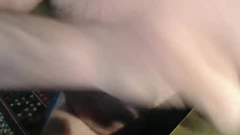 Snapshot of snudge432 chatting on 01.04.25 snudge432 online show from 01.04.25