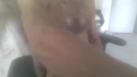 sodomite754 online show from 11.09.25