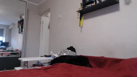 Sofi online show from 11.11.25