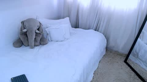 sofia Ill be back on Tuesday June 4.  online show from 02.13.25