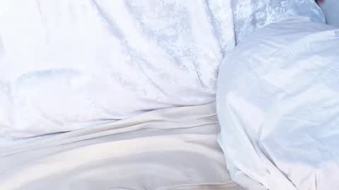 Sofia here online show from 01.09.25