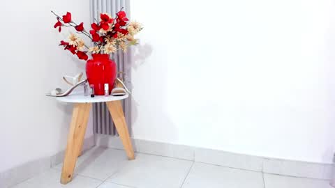 SOFIA online show from 02.04.25