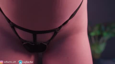 Sofia online show from 03.04.26