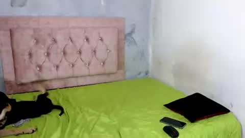 sofiadoll77 online show from 02.08.25