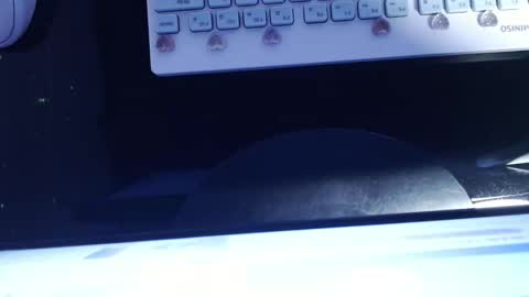 Snapshot of sofianix chatting on 01.13.25 SOFIA NIX online show from 01.13.25