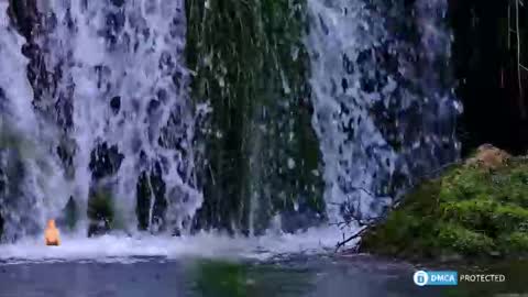 Snapshot of solisii chatting on 11.08.25 solisii online show from 11.08.25