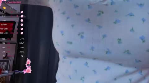 Sofia online show from 11.05.25