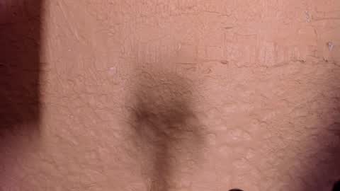 Snapshot of sophi_cooper29 chatting on 12.22.25 sophi_cooper29 online show from 12.22.25