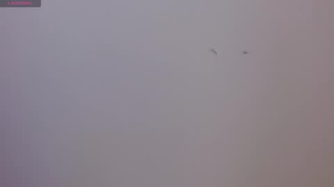 Sophie online show from 11.17.25