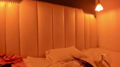 Snapshot of sophiabloss chatting on 01.17.26 Sophie online show from 01.17.26